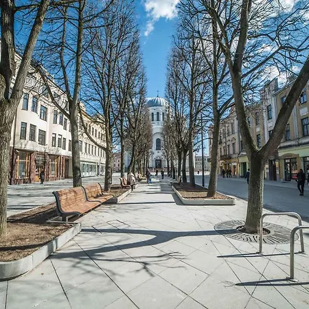 Cozy Near City Center